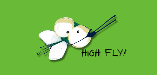 Meet Mouche the fly!